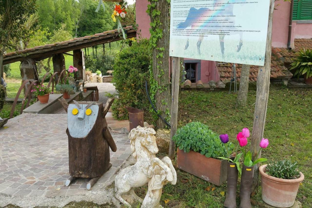 Piccolo Casale A "Le Moline" In Una Vera Fattoria ヴェトラッラ エクステリア 写真