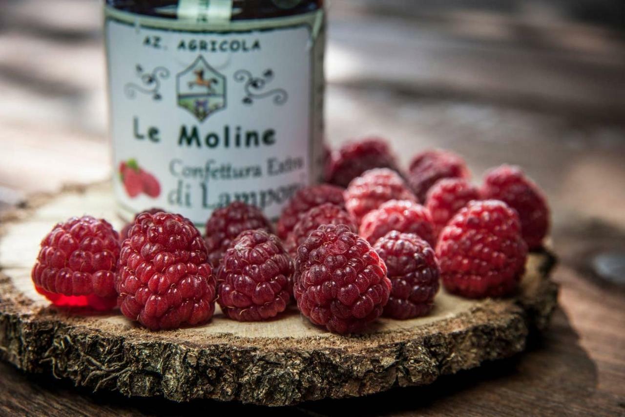 Piccolo Casale A "Le Moline" In Una Vera Fattoria ヴェトラッラ エクステリア 写真