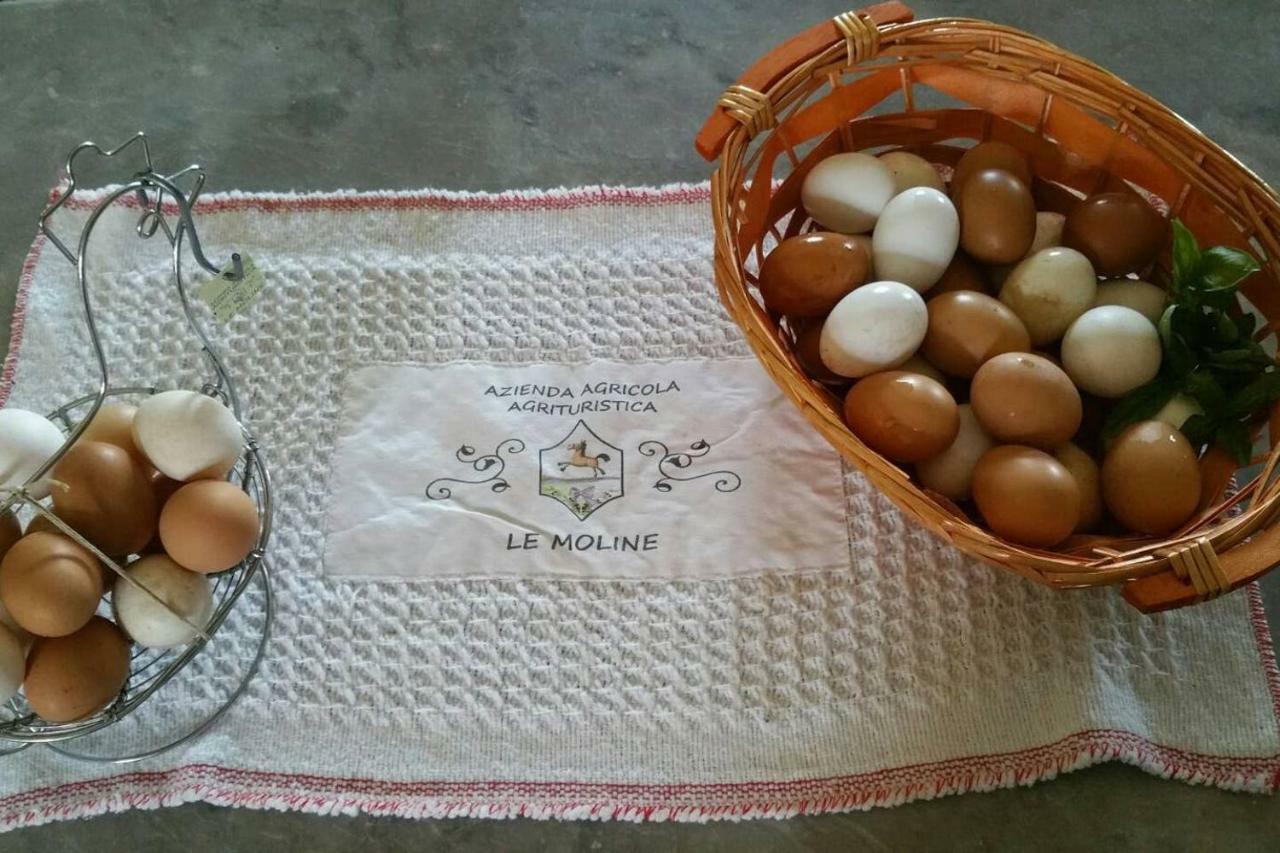 Piccolo Casale A "Le Moline" In Una Vera Fattoria ヴェトラッラ エクステリア 写真