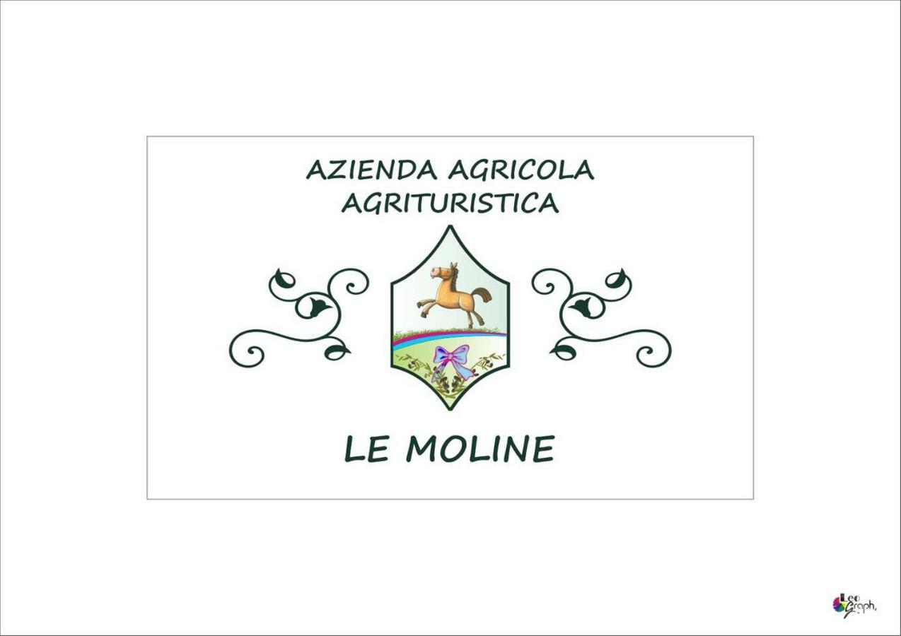 Piccolo Casale A "Le Moline" In Una Vera Fattoria ヴェトラッラ エクステリア 写真
